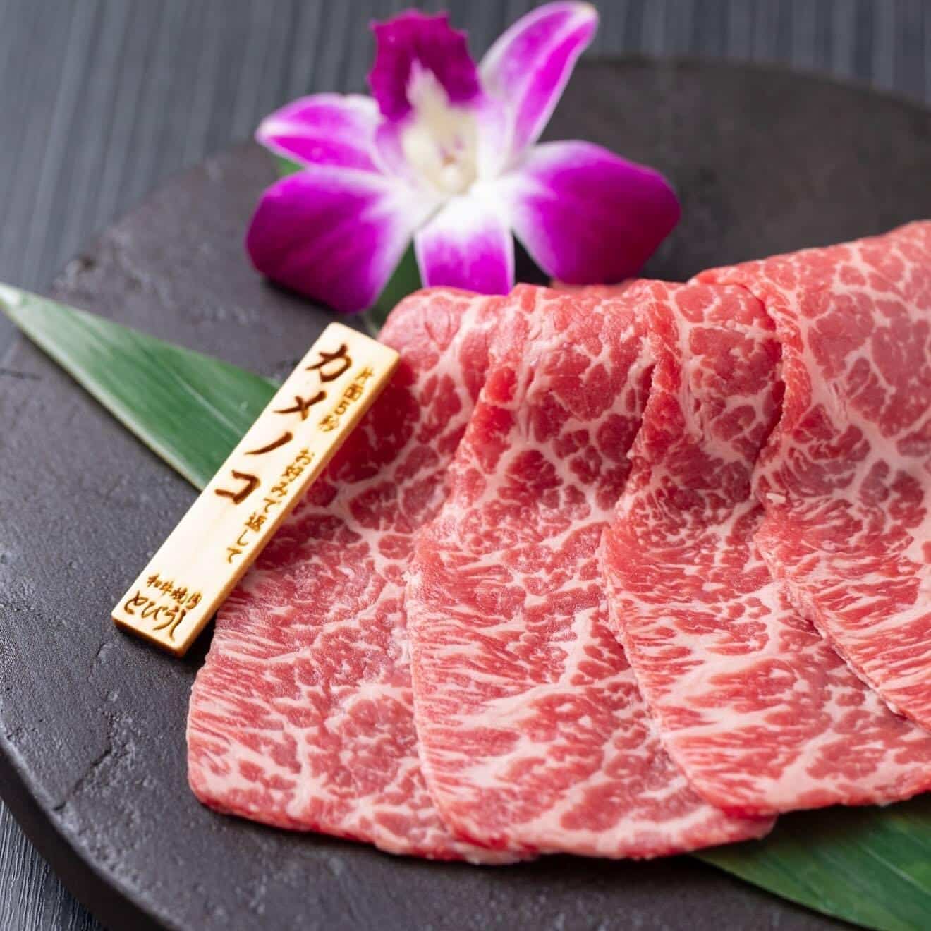 カメノコは和牛本来のお肉の味が楽しめる赤肉🌟記念日にもオススメ🎁とびうしはアクセスの良い飯田橋駅から徒歩すぐの隠れ家…