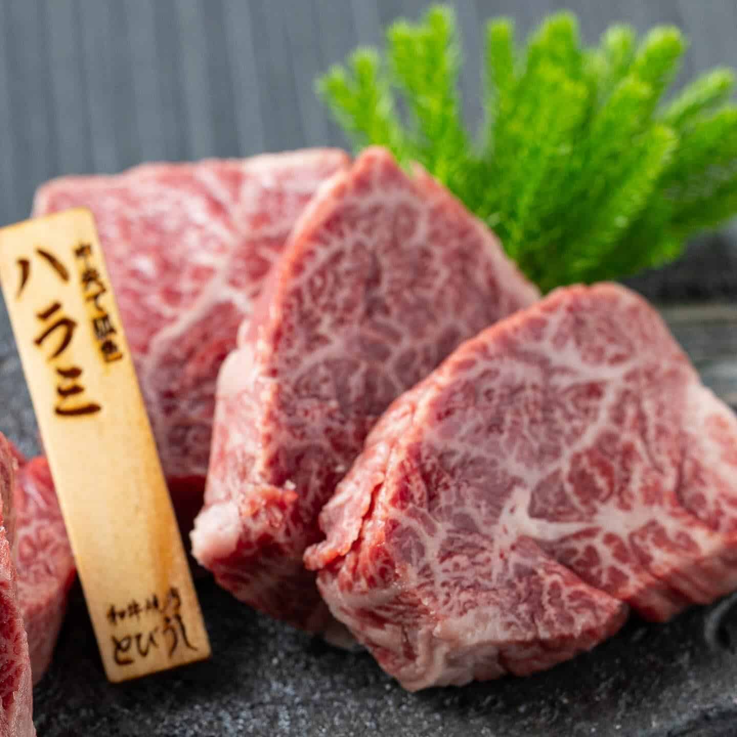 自慢の和牛ハラミ♪東京ドームや武道館のイベント帰りのお食事にもオススメ⭐︎とびうしはアクセスの良い飯田橋駅から徒歩すぐの…
