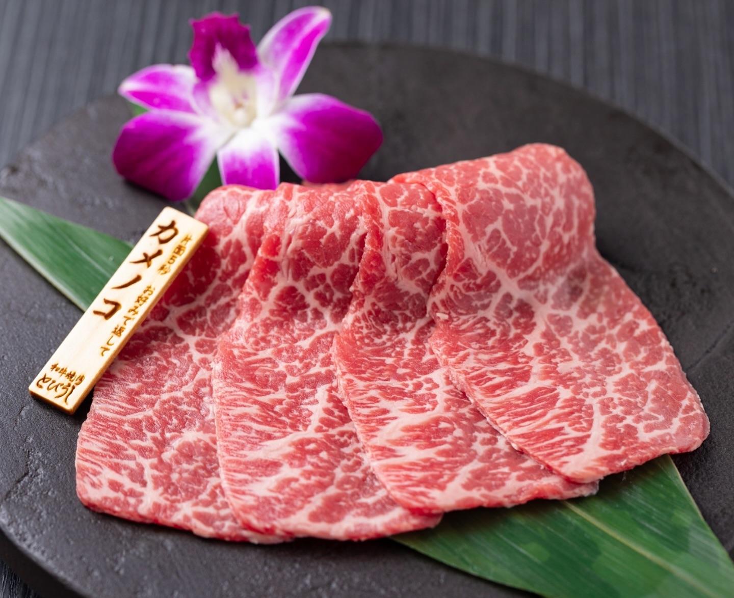 和牛の肉の美味しさが楽しめるカメノコ⭐︎とびうしは全席が完全個室の和牛焼肉のお店⭐︎「飯田橋駅」すぐ！「黒毛和牛」が自慢…